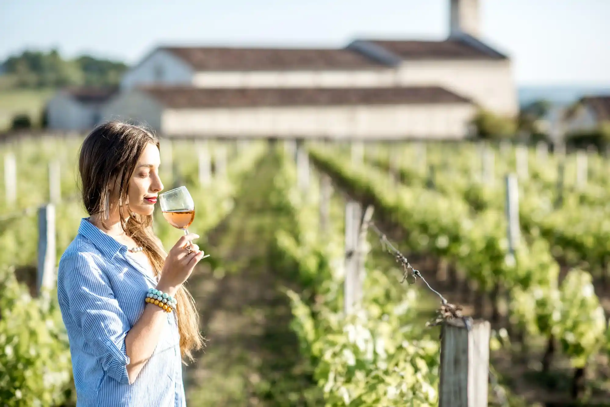 Explore Woodinville Wine Country with a Private Chauffeur